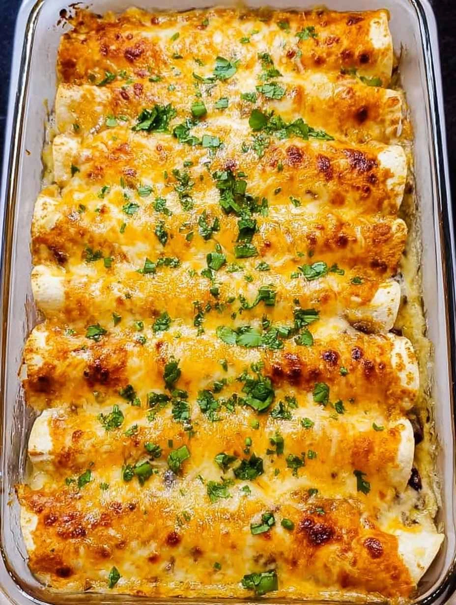 Spicy Black Bean Chicken Enchiladas for Quick Family Dinners