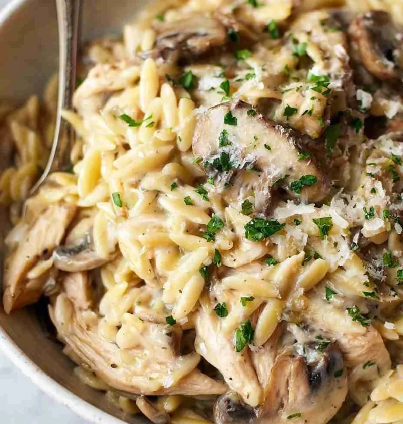 Creamy Mushroom Chicken Orzo Creamy Mushroom Chicken Orzo