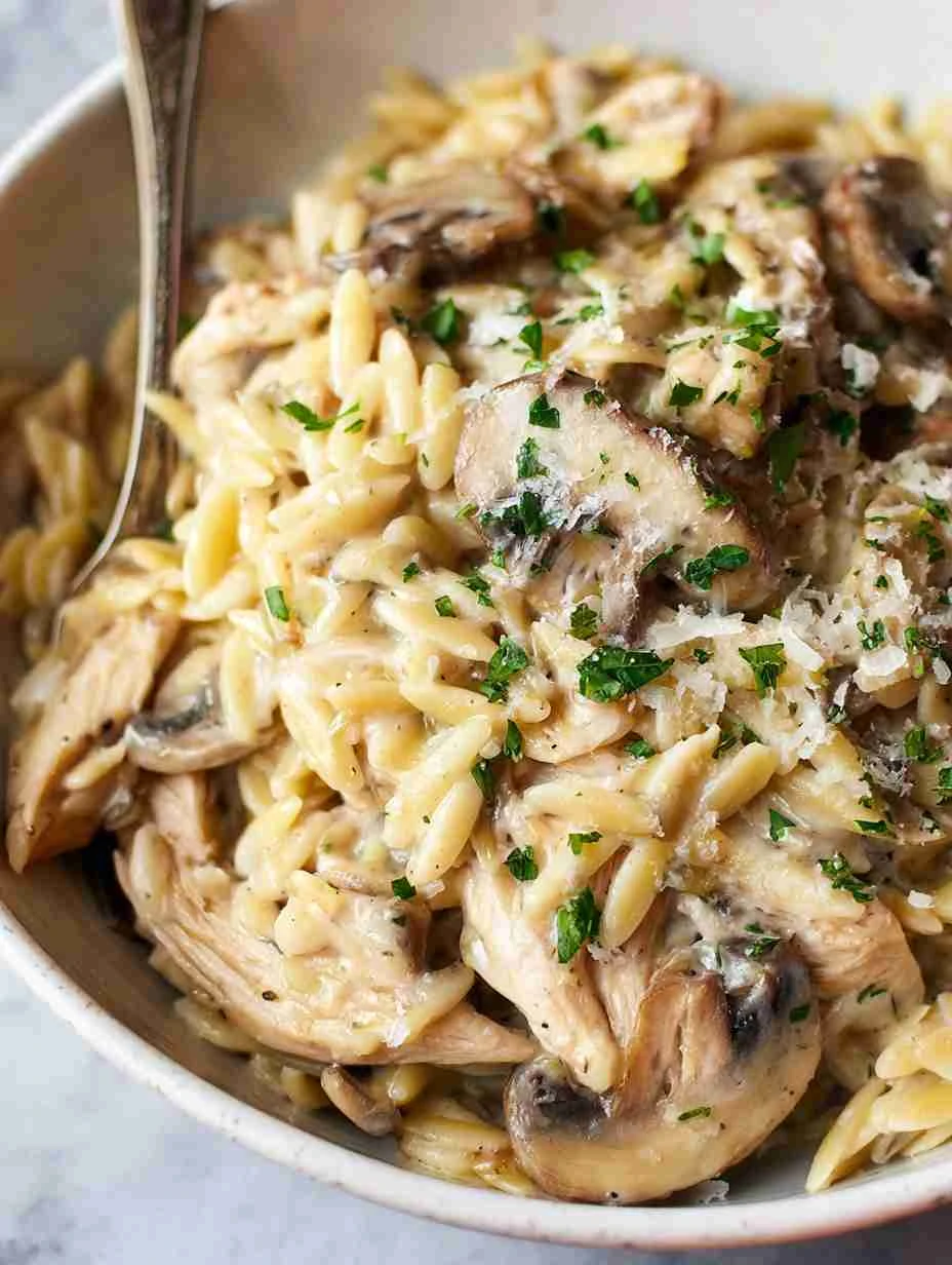 Creamy Mushroom Chicken Orzo