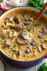 Beef Stroganoff Soup