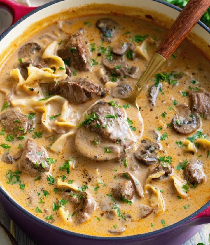 Beef Stroganoff Soup