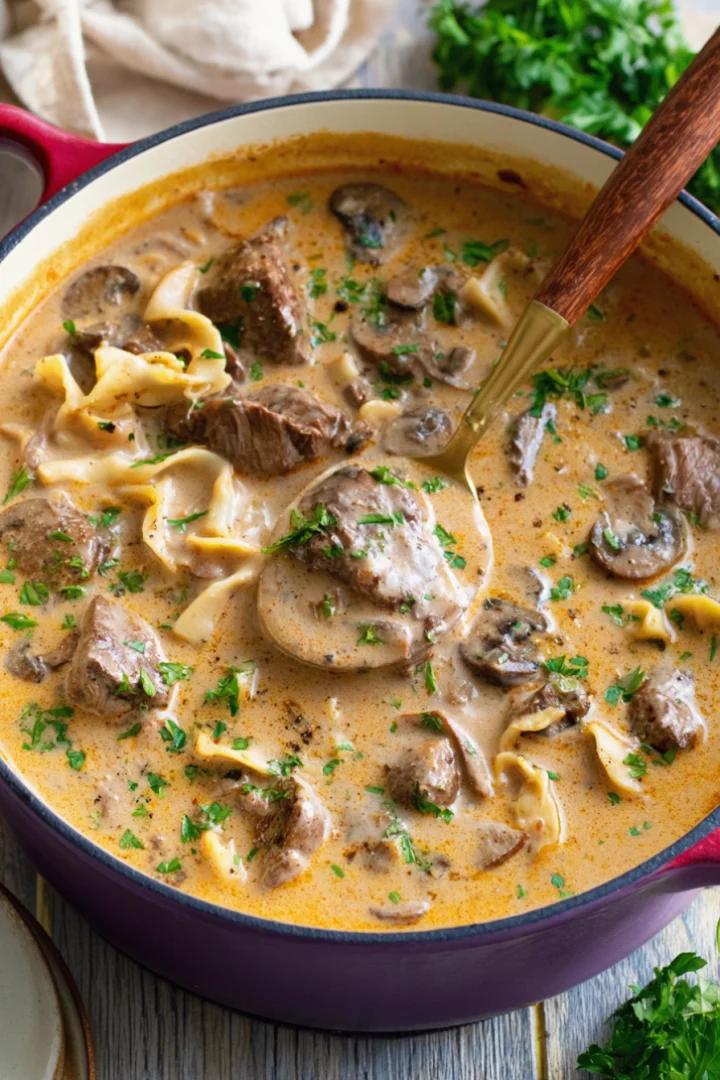 Beef Stroganoff Soup